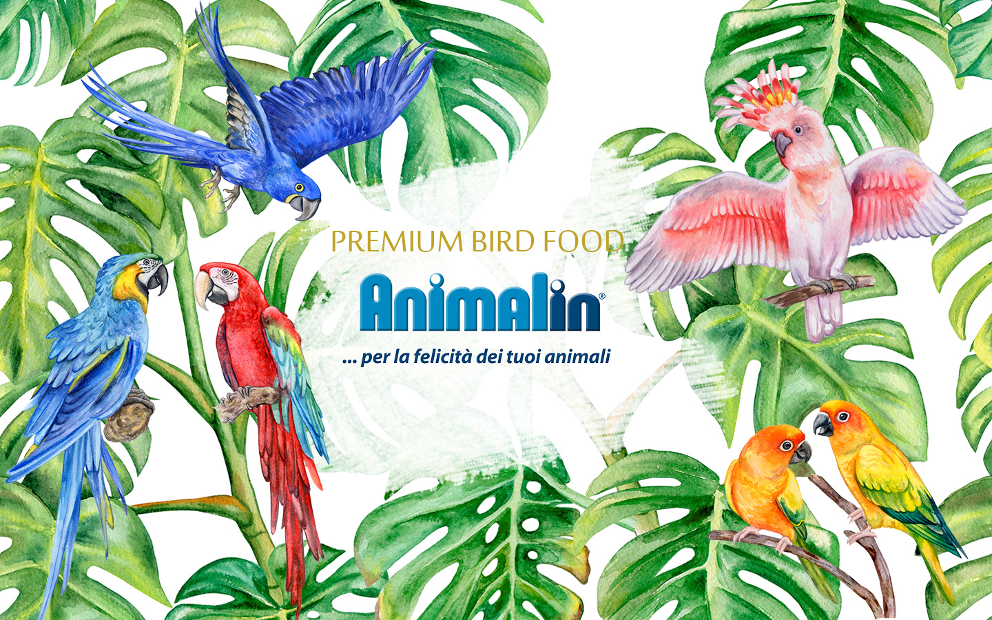 Animalin｜アニマリン イタリア・シチリア島から届いた大地の恵み