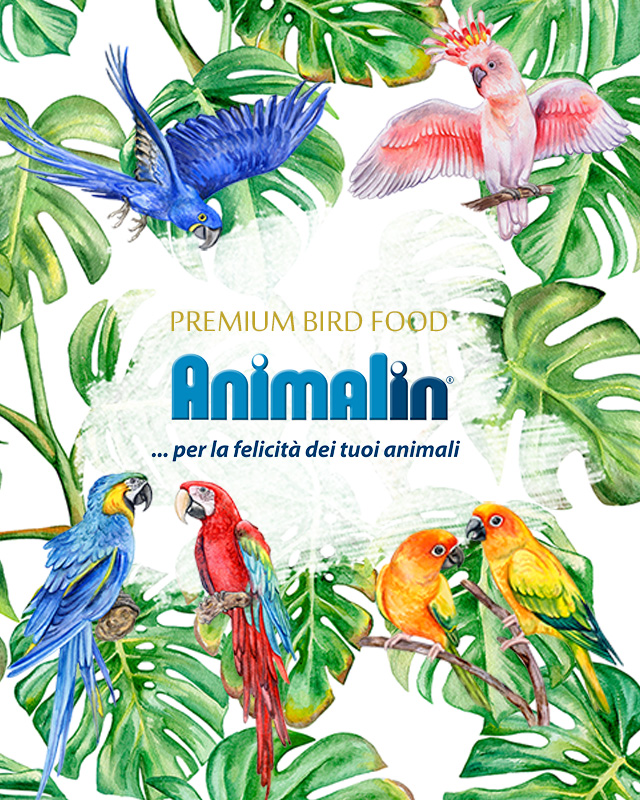 Animalin(アニマリン)イタリア・シチリア島から届いた大地の恵み