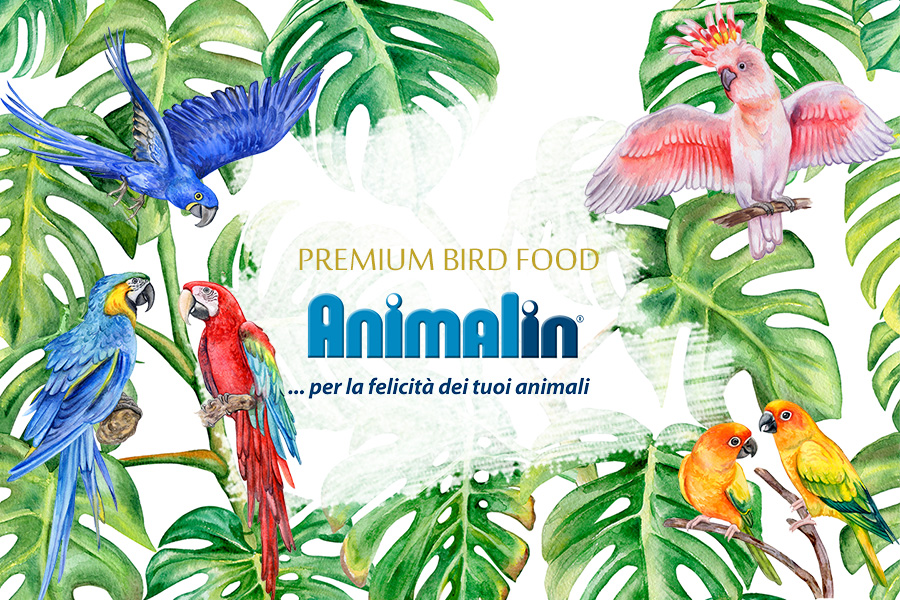 Animalin(アニマリン)イタリア・シチリア島から届いた大地の恵み